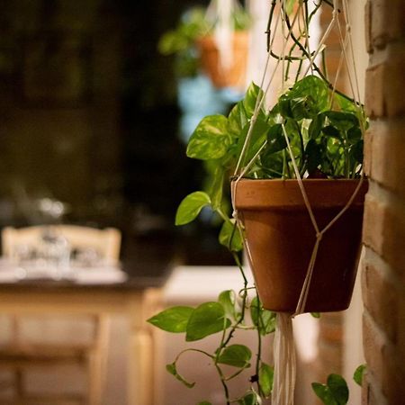 Villa Agricola Casa Cucina Bottega Cesena Exterior foto