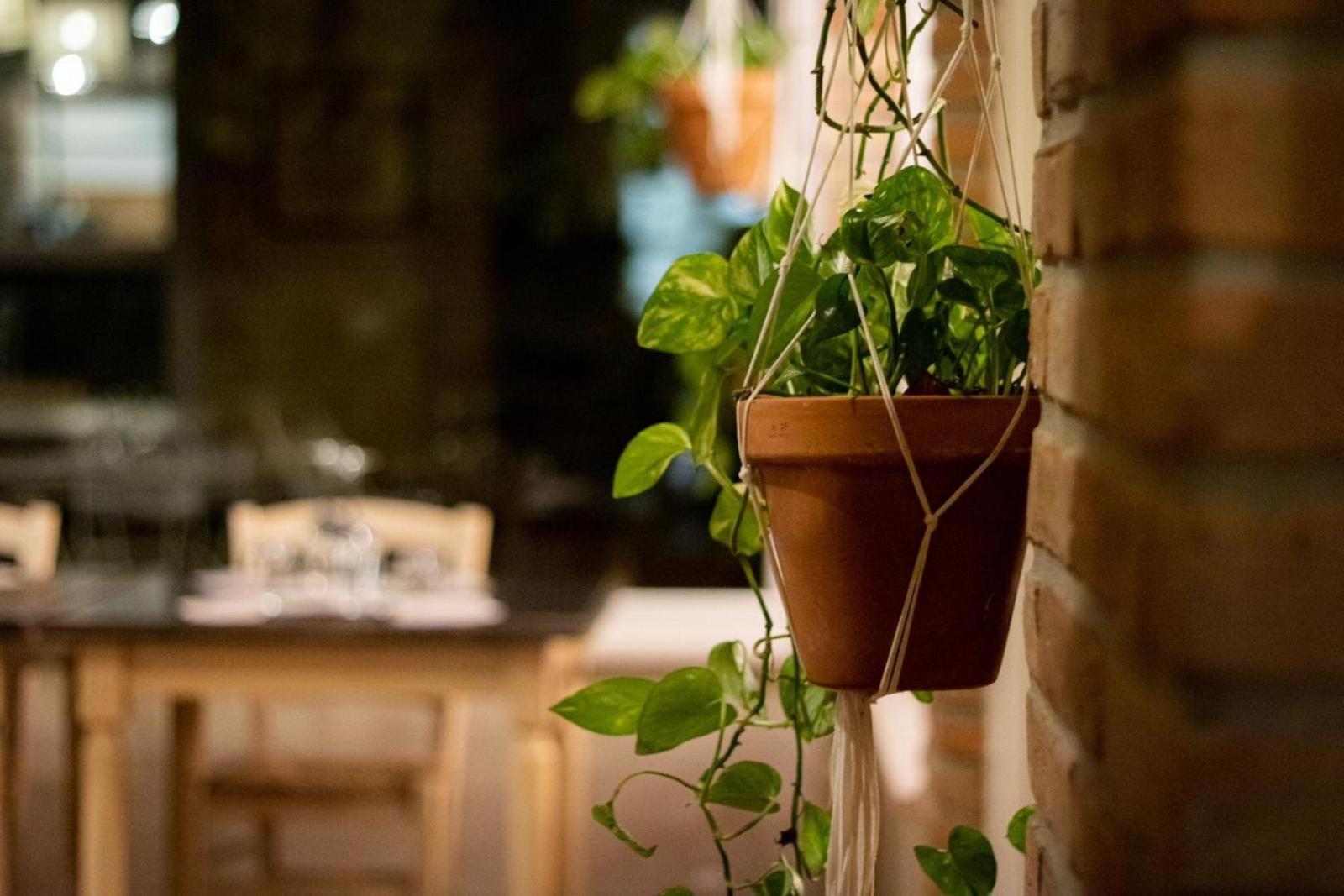 Villa Agricola Casa Cucina Bottega Cesena Exterior foto